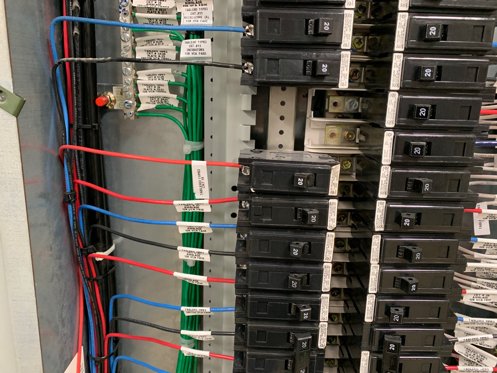 Proyecto 4 - Imagen 2