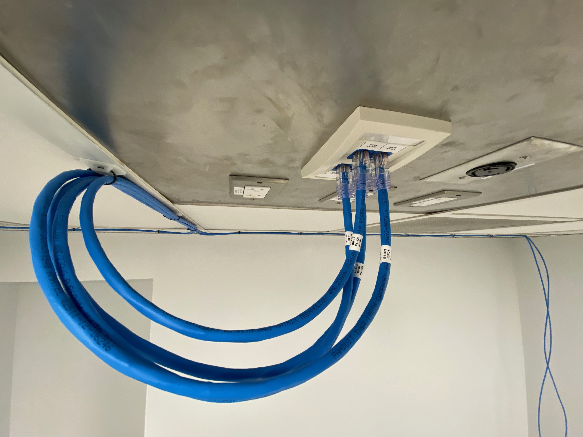 Proyecto 3 - Imagen 2